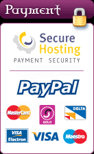 Secure Hosting and Accepted Payment Methods