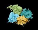 Makeup Powders