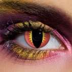 Dragon Eyes Contact Lenses (Pair).