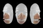 Prosthetic Latex monkey set